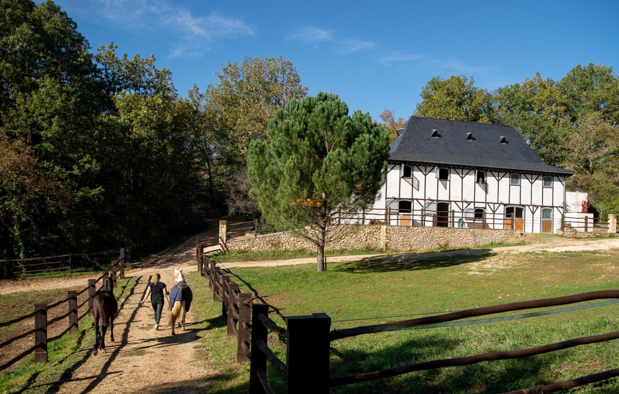 Cabane De La Mesange Auriac-du-Périgord Kültér fotó